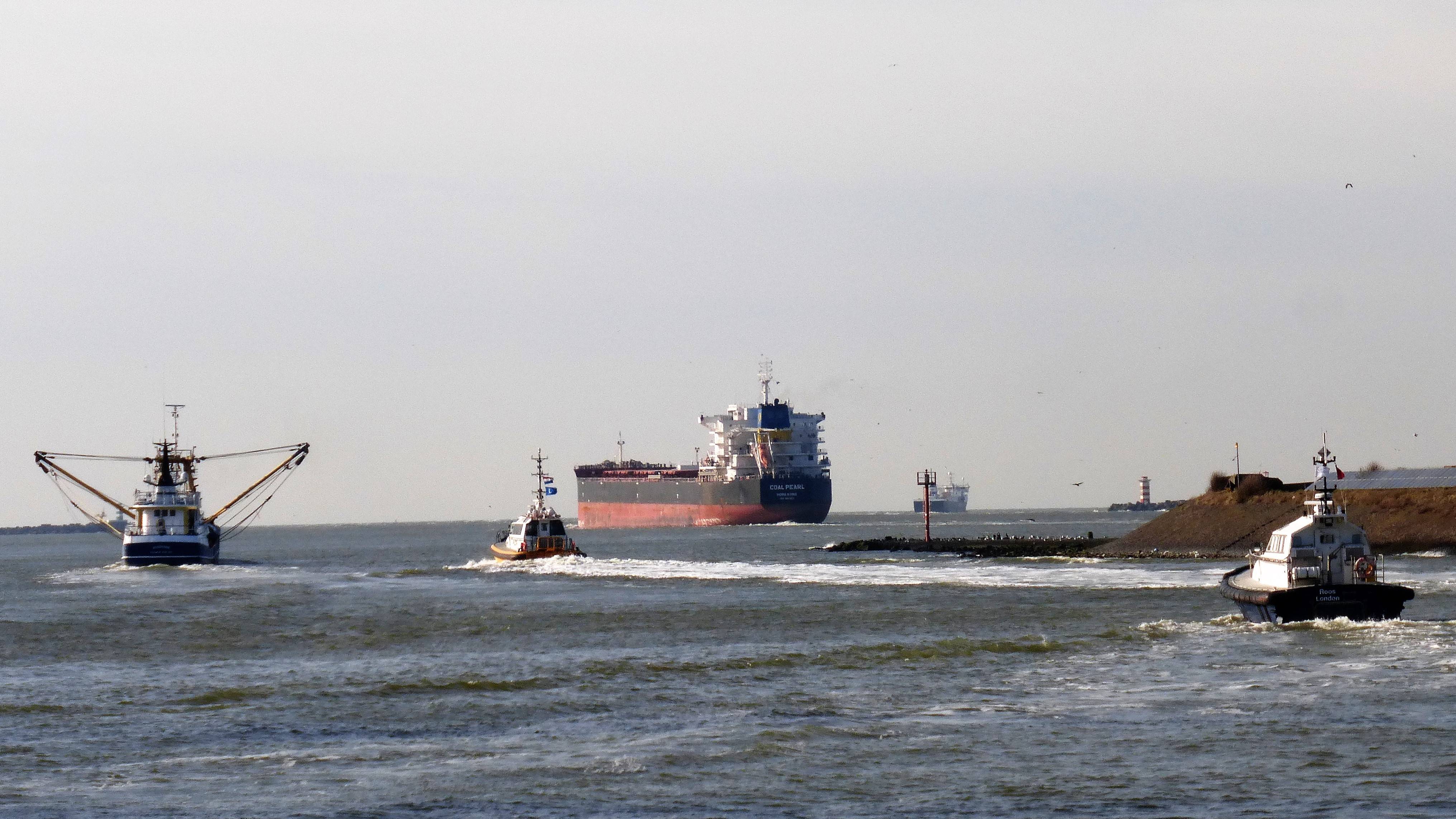 Pieren IJmuiden 14-02-18 